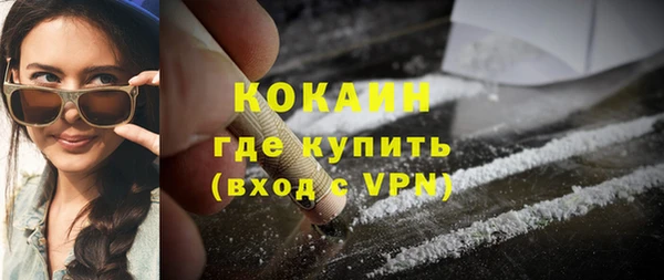 прущие грибы Баксан