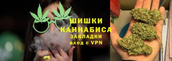 прущие грибы Баксан