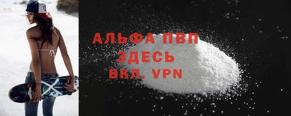 прущие грибы Баксан