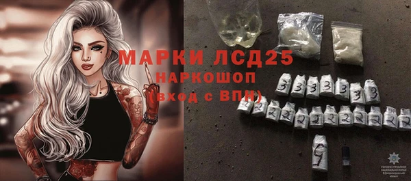 прущие грибы Баксан