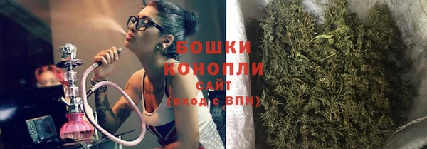прущие грибы Баксан