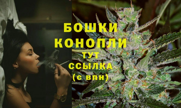 прущие грибы Баксан