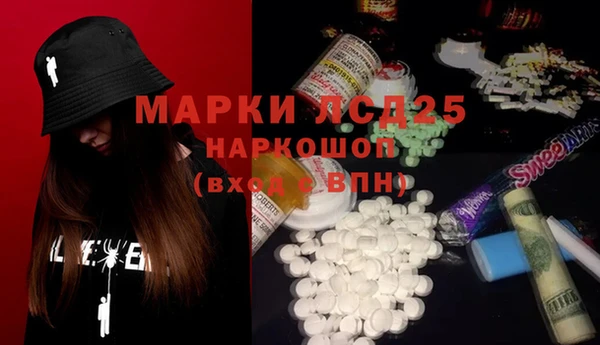 прущие грибы Баксан